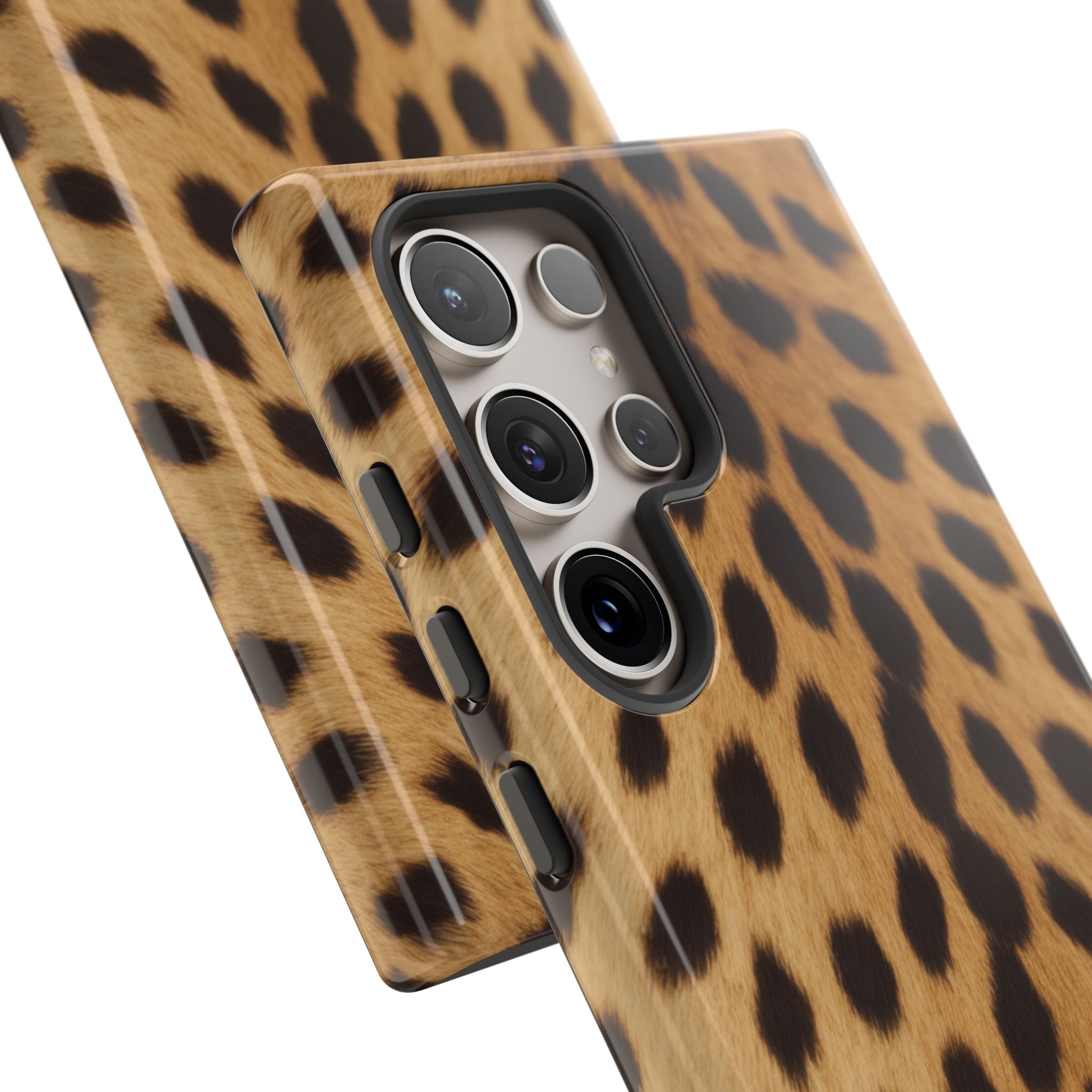 Cheetah