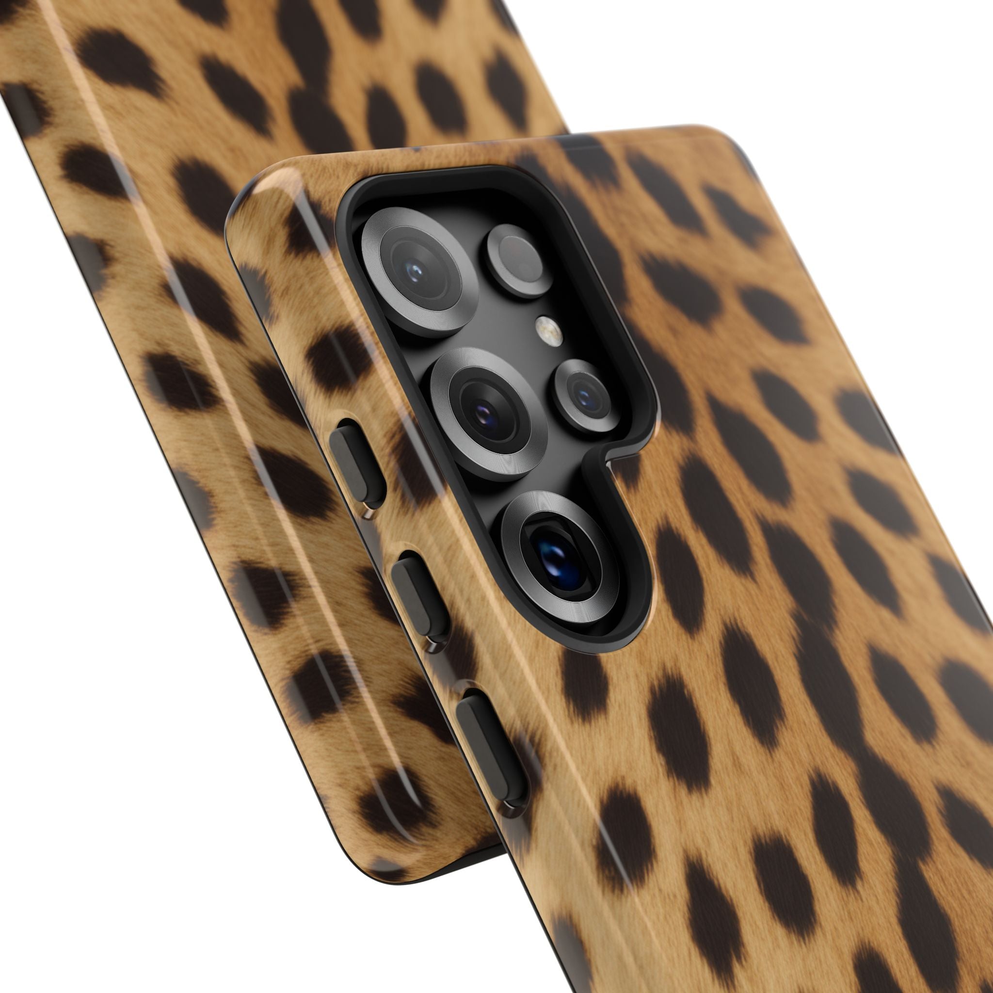 Cheetah