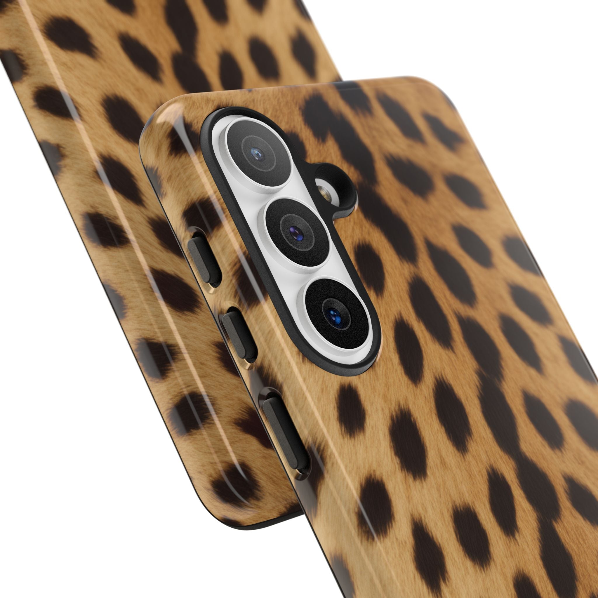 Cheetah