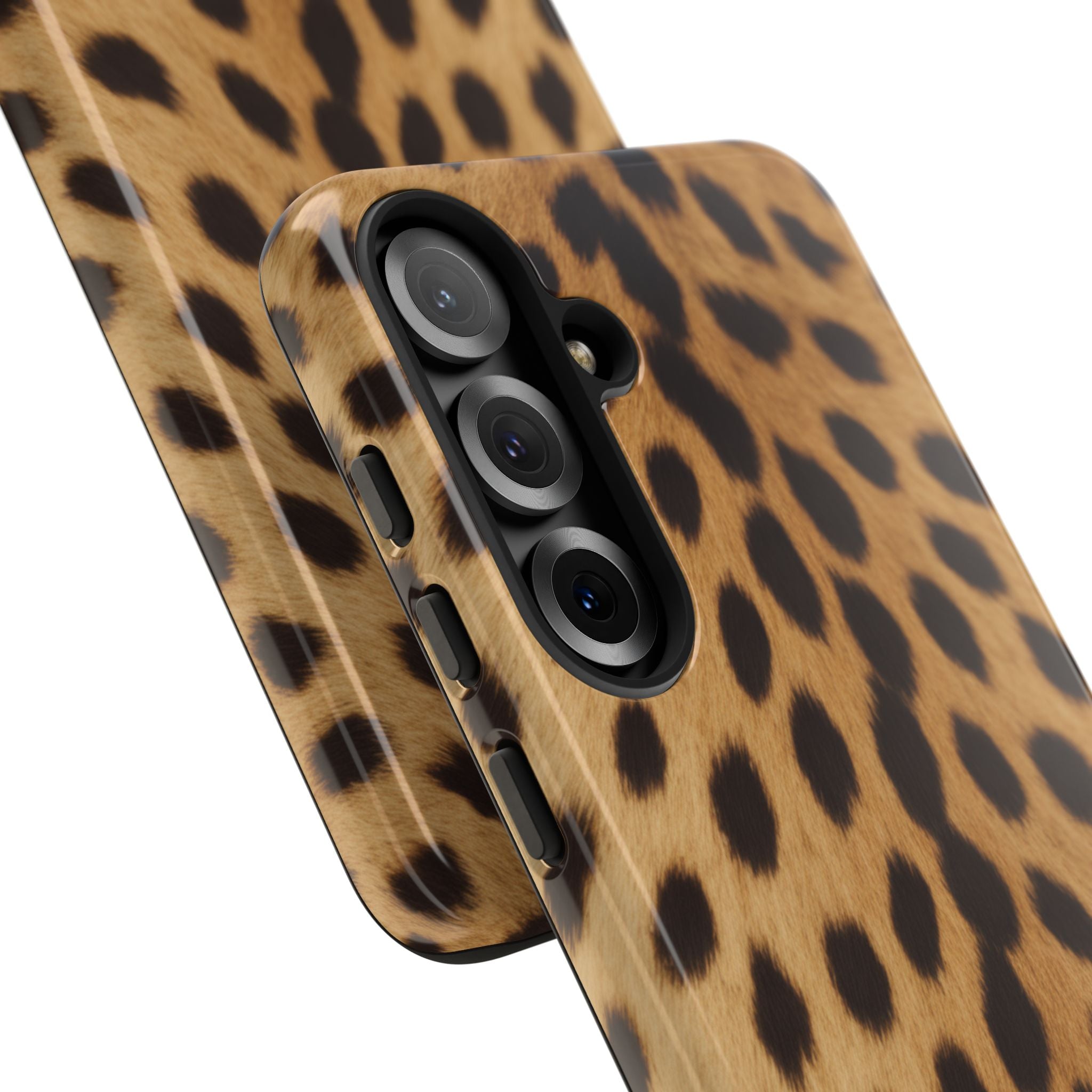 Cheetah